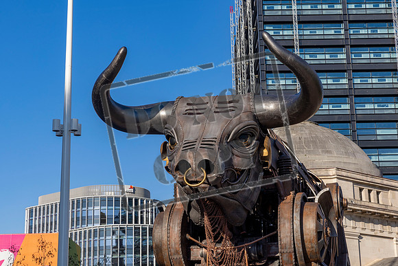 Team Scotland - Birmingham 2022 - Commonwealth Games