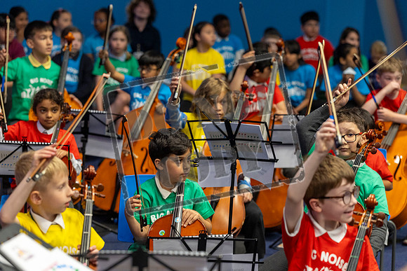 Summer Concert