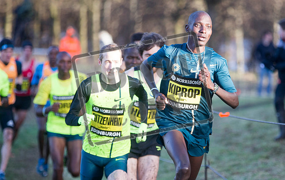 Great winter run