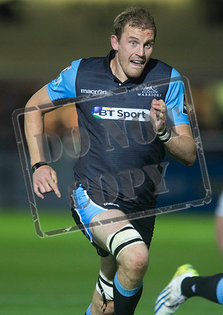 glasgow warriors