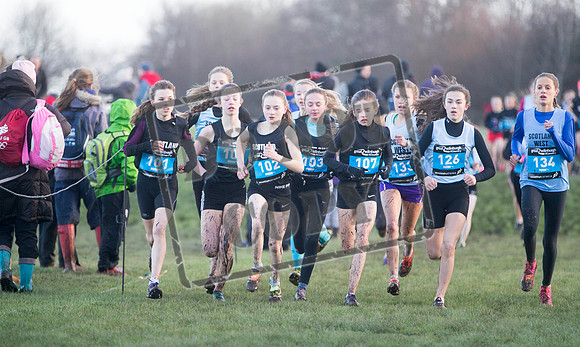 Great winter run