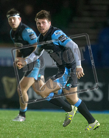 warriors v scarlets