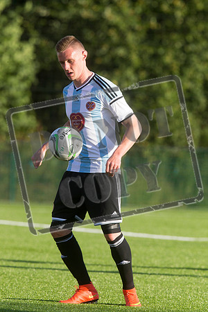 Hamilton v hearts