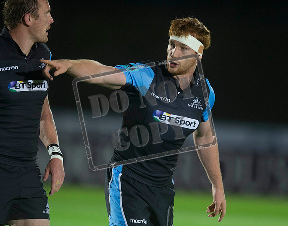 glasgow warriors