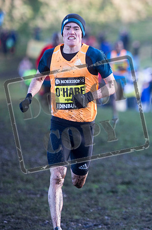 Great winter run