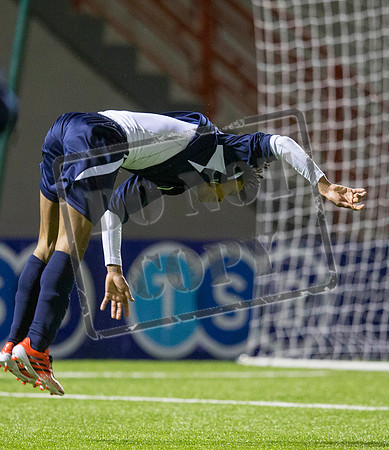 scotland v wales