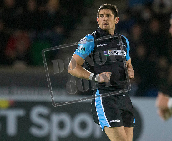 glasgow warriors