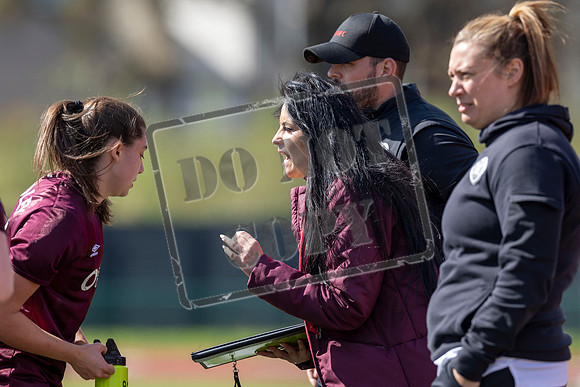 Hibs v Hearts