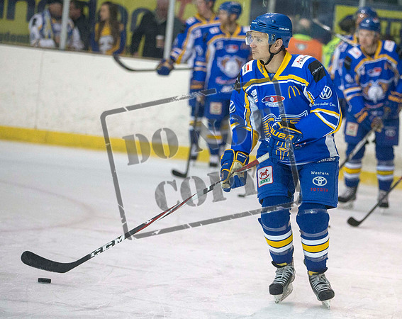 ice hockey