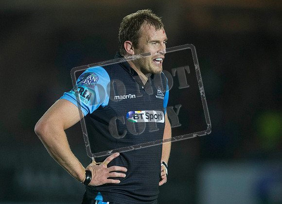 glasgow warriors