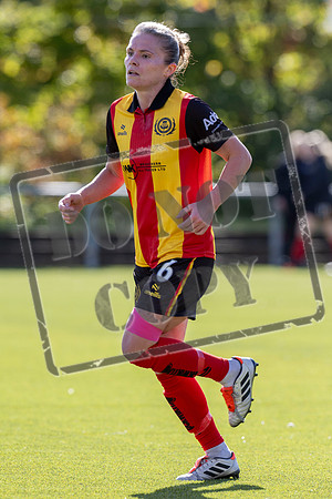 Patick v Hearts