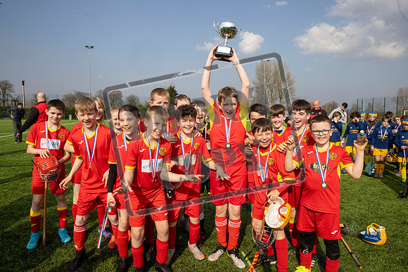 gaelic sport