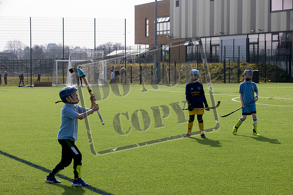 gaelic sport