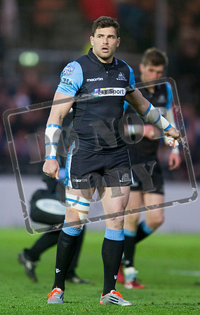 Glasgow v Ulster - Pro 12 Semi Final