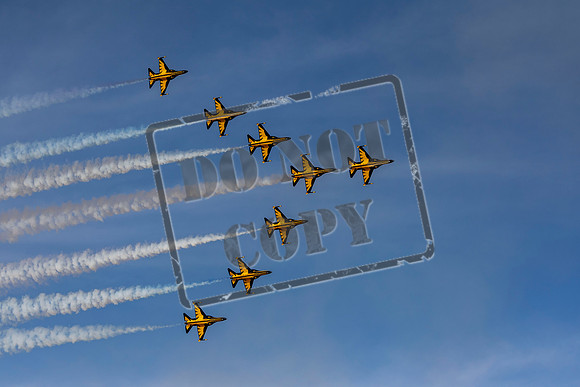 WDS