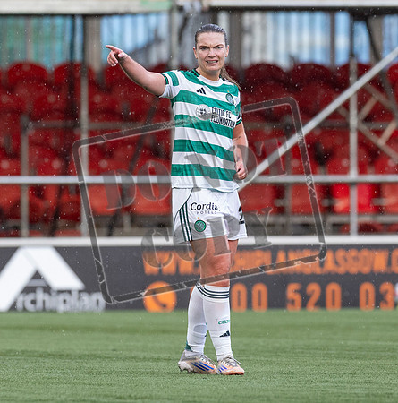 Celtic v hearts