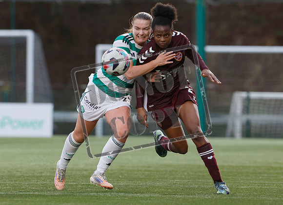 Celtic v hearts