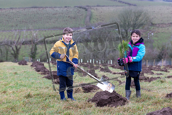 Generations unite to launch 150-acre Centenary Forestin Symington