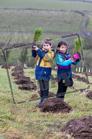 Generations unite to launch 150-acre Centenary Forestin Symington