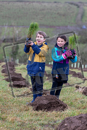 Generations unite to launch 150-acre Centenary Forestin Symington