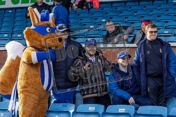 Kilmarnock v Livingston
