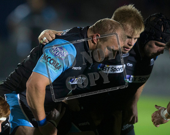 glasgow warriors