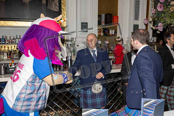 team scotland