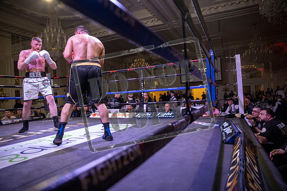 Fightzone boxing