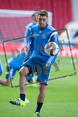 SOCCER Germany