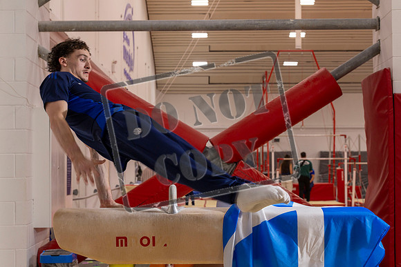 team scotland