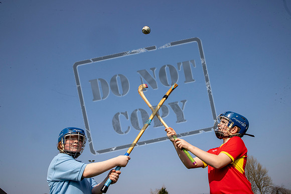 gaelic sport