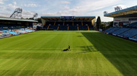 Kilmarnock v Livingston