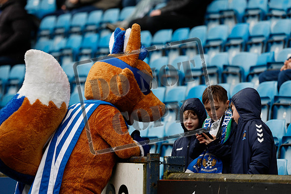 Kilmarnock v St johnstone