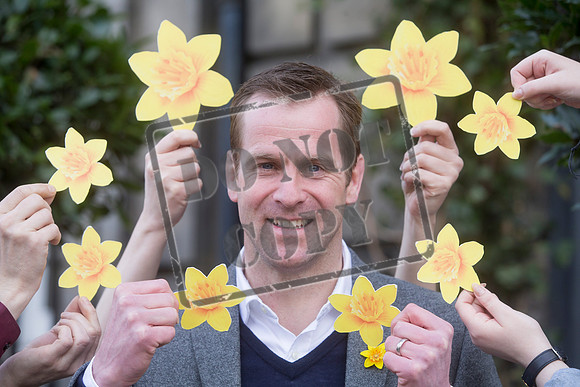 Great Daffodil Appeal