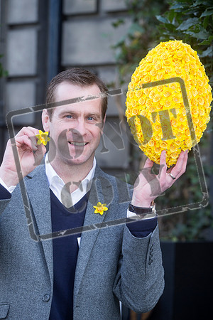 Great Daffodil Appeal