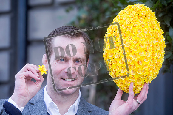 Great Daffodil Appeal