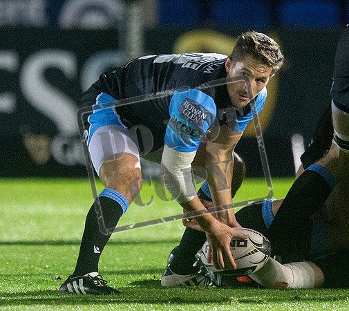 glasgow warriors