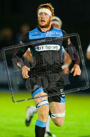 Glasgow Warriors Rugby