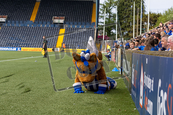 kilmarnock v livingston
