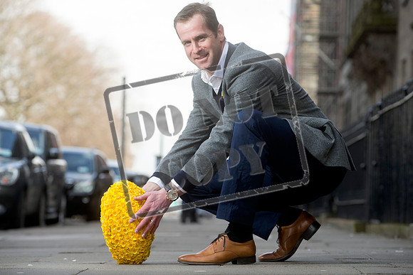 Great Daffodil Appeal