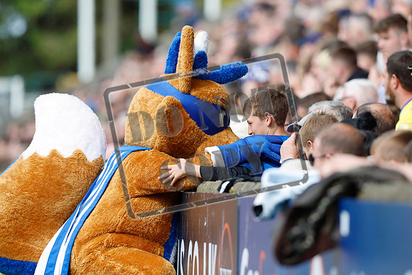 kilmarnock v ross county