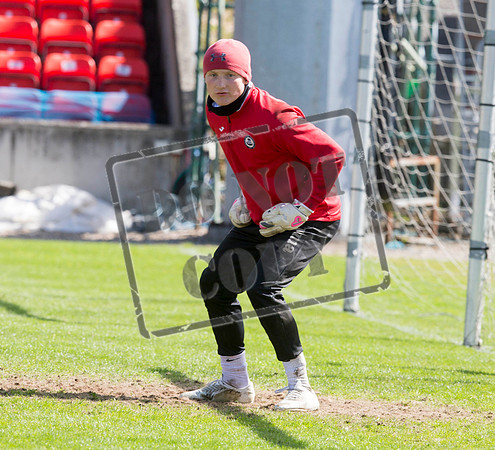 partick thistle