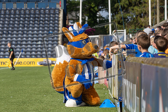 kilmarnock v livingston