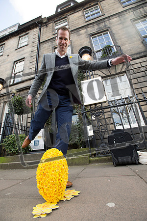 Great Daffodil Appeal