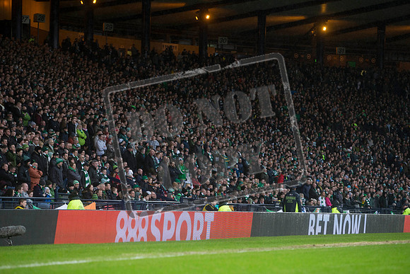 cup semi
