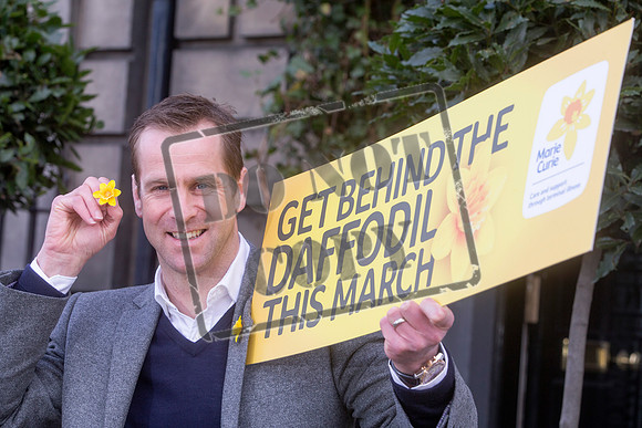 Great Daffodil Appeal