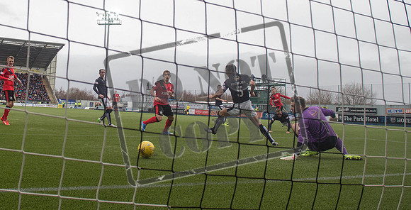 SOCCER Falkirk