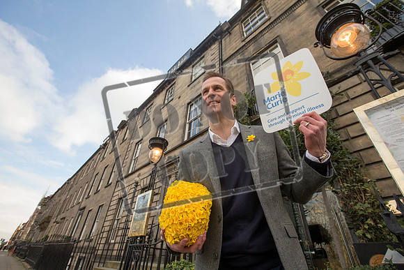 Great Daffodil Appeal
