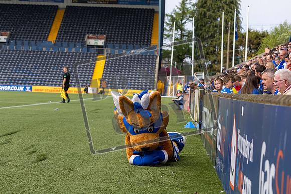 kilmarnock v livingston