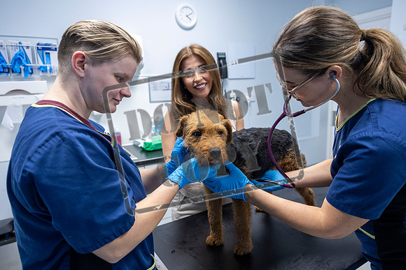 FIRST-EVER PET EMERGENCY WEEK
